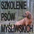 szkolenie psów myśliwskich - Jarosław Pełka